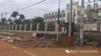 雷州英利最新爆料,揭秘项目进展与未来规划  第1张